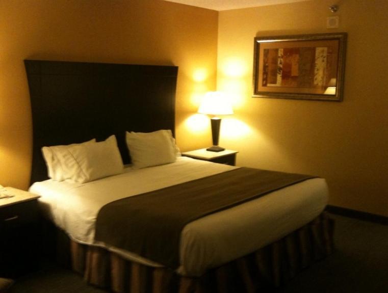 Hotel Indigo Rochester - Mayo Clinic Area Oda fotoğraf